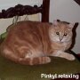 Pinkyl on Chair 1997